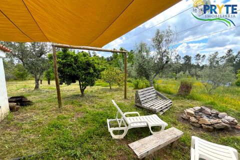 Farm i Serta, Castelo Branco, Serta - € 140.000 | Ref: RF88 - foto 9