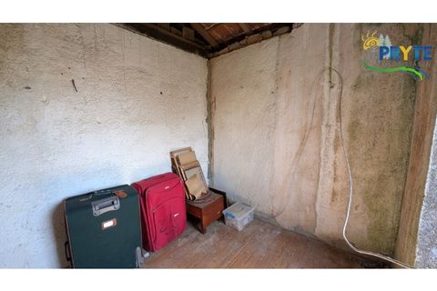 Farm i Serta, Castelo Branco, Serta - € 140.000 | Ref: RF88 - foto 15