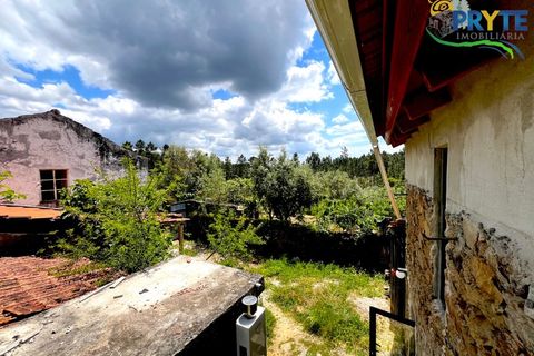 Farm i Serta, Castelo Branco, Serta - € 140.000 | Ref: RF88 - foto 21