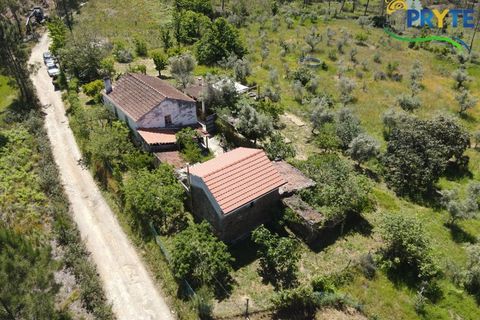 Farm i Serta, Castelo Branco, Serta - € 140.000 | Ref: RF88 - foto 27
