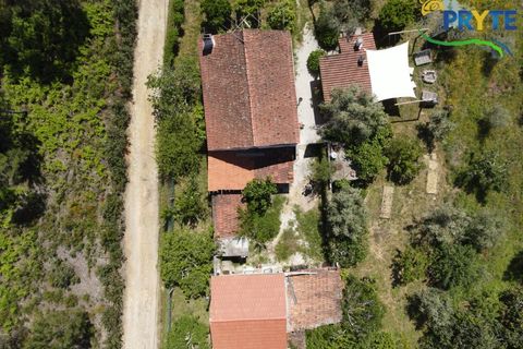 Farm i Serta, Castelo Branco, Serta - € 140.000 | Ref: RF88 - foto 28