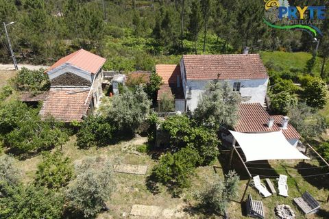 Farm i Serta, Castelo Branco, Serta - € 140.000 | Ref: RF88 - foto 29