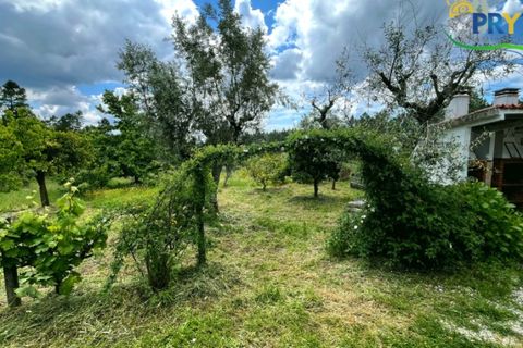 Farm i Serta, Castelo Branco, Serta - € 140.000 | Ref: RF88 - foto 30