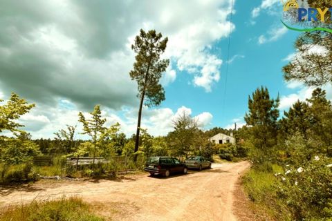 Farm i Serta, Castelo Branco, Serta - € 140.000 | Ref: RF88 - foto 31