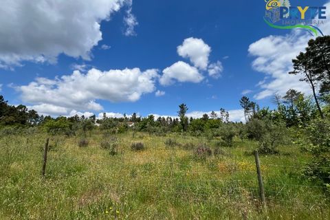 Farm i Serta, Castelo Branco, Serta - € 140.000 | Ref: RF88 - foto 32