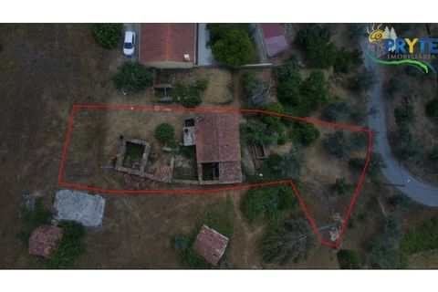 Herregård i Proenca-a-Nova, Castelo Branco, Proenca-a-Nova - € 34 000 | Ref: RF87 - foto 2