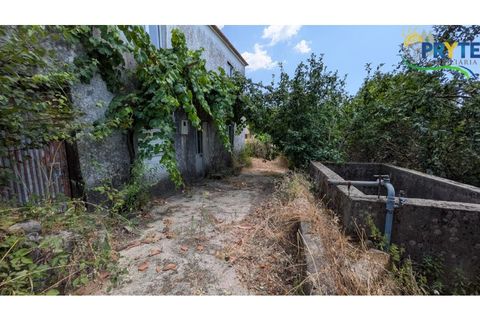 Herregård i Proenca-a-Nova, Castelo Branco, Proenca-a-Nova - € 34 000 | Ref: RF87 - foto 3