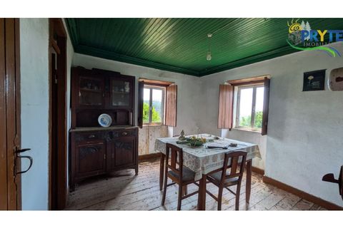 Herregård i Proenca-a-Nova, Castelo Branco, Proenca-a-Nova - € 34 000 | Ref: RF87 - foto 15