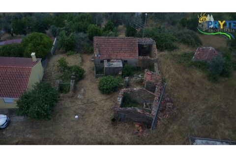 Herregård i Proenca-a-Nova, Castelo Branco, Proenca-a-Nova - € 34 000 | Ref: RF87 - foto 19