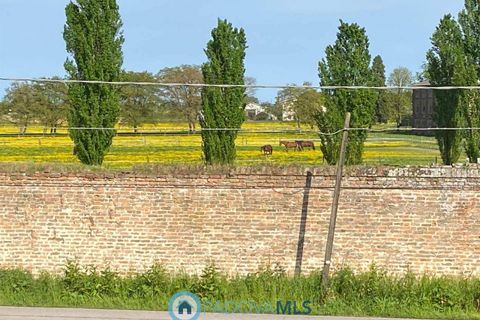 Villa em Conselve, Padua, Conselve - € 275.000 | Ref: SB-11 MLS 2238 - foto 39