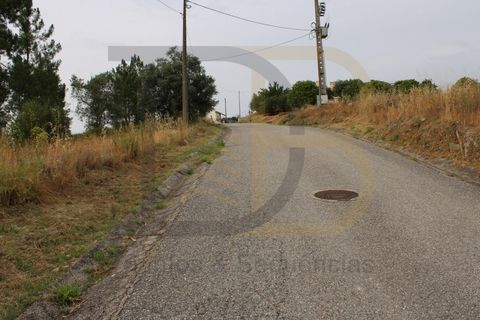 Helårsgrund i Abrantes, Santarem, Abrantes - € 10.000 | Ref: TER_97 - foto 2