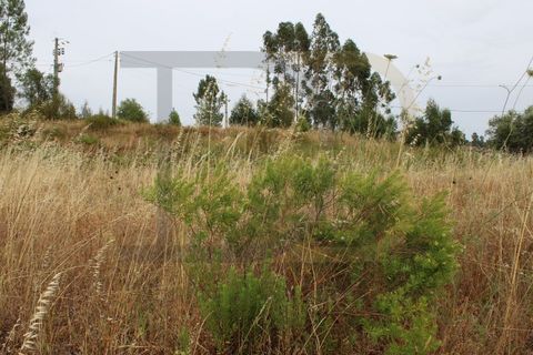 Helårsgrund i Abrantes, Santarem, Abrantes - € 10.000 | Ref: TER_97 - foto 3