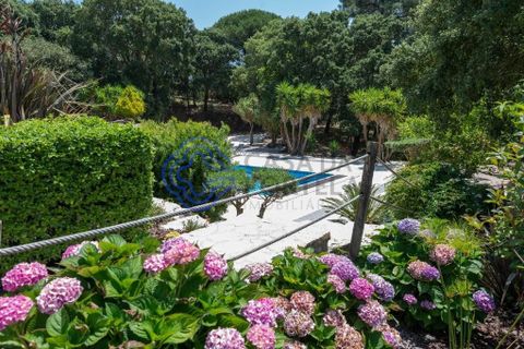 Byhus i Caldas da Rainha, Leiria, Caldas da Rainha - € 1.065.000 | Ref: 1134821 - foto 50