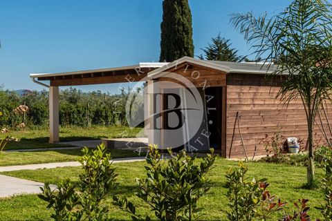 Villa i Bibbona, Livorno, Bibbona - € 950.000 | Ref: AI 64 - foto 3