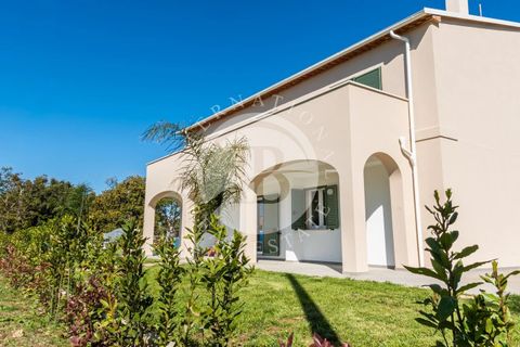 Villa i Bibbona, Livorno, Bibbona - € 950.000 | Ref: AI 64 - foto 6