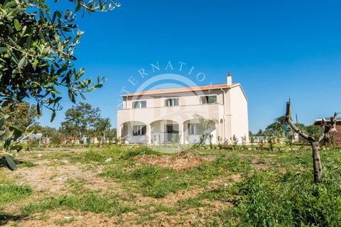 Villa i Bibbona, Livorno, Bibbona - € 950.000 | Ref: AI 64 - foto 9