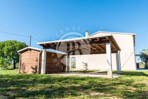 Villa i Bibbona, Livorno, Bibbona - € 950.000 | Ref: AI 64 - foto 11