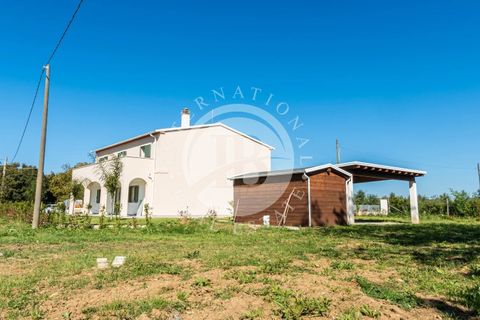 Villa i Bibbona, Livorno, Bibbona - € 950.000 | Ref: AI 64 - foto 12