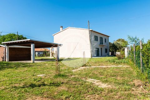 Villa i Bibbona, Livorno, Bibbona - € 950.000 | Ref: AI 64 - foto 13