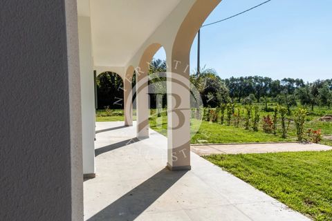 Villa i Bibbona, Livorno, Bibbona - € 950.000 | Ref: AI 64 - foto 14