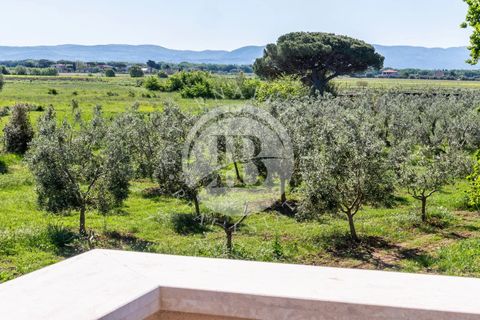 Villa i Bibbona, Livorno, Bibbona - € 950.000 | Ref: AI 64 - foto 16