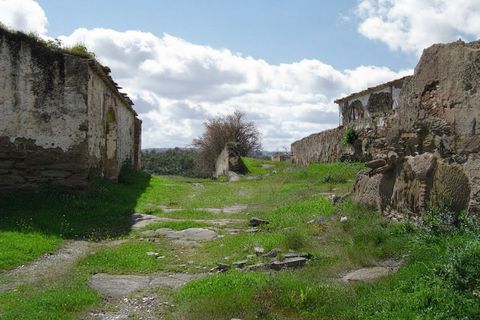 Helårsgrund i Ourique, Beja, Ourique - € 860.000 | Ref: BAP-122 - foto 7