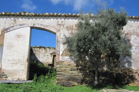 Helårsgrund i Ourique, Beja, Ourique - € 860.000 | Ref: BAP-122 - foto 11