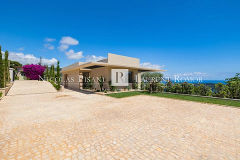 Villa i Nice, Alpes-Maritimes, Nice - € 12.600.000 | Ref: 87049600 VM P - foto 4