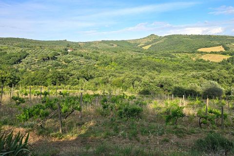 Villa in Panicale, Perugia, Panicale - € 860.000 | Ref: Panicale-1424344 - foto 6