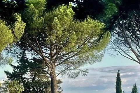 Villa a Arezzo, Arezzo, Arezzo - € 4.800.000 | Ref: ILV94386-1466878 - foto 43