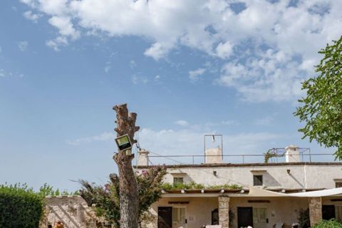 Farm i Gallipoli, Lecce, Gallipoli - € 1.380.000 | Ref: ILV94399-1468061 - foto 29