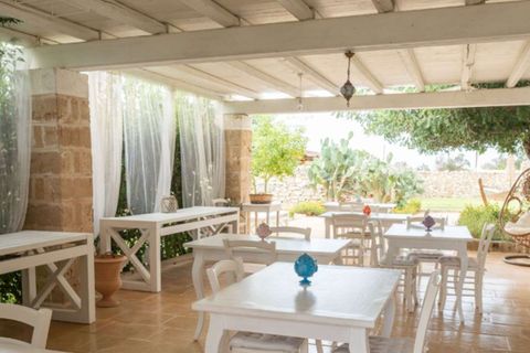 Farm i Gallipoli, Lecce, Gallipoli - € 1.380.000 | Ref: ILV94399-1468061 - foto 41