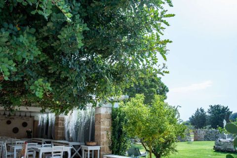 Farm i Gallipoli, Lecce, Gallipoli - € 1.380.000 | Ref: ILV94399-1468061 - foto 46