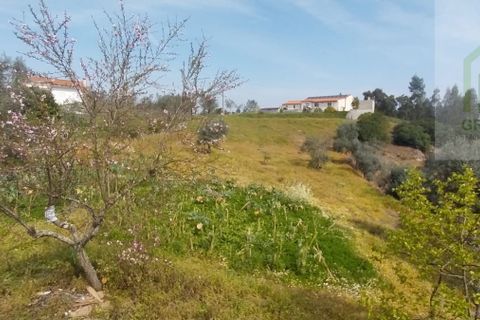 Villa en Arganil, Coimbra, Arganil - € 240.000 | Ref: 692 - photo 2