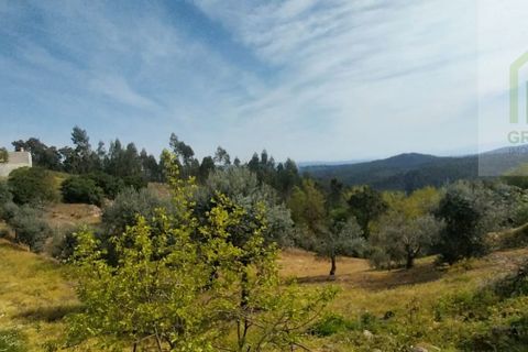 Villa en Arganil, Coimbra, Arganil - € 240.000 | Ref: 692 - photo 9