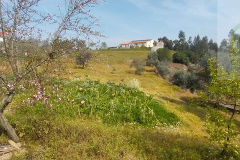 Villa en Arganil, Coimbra, Arganil - € 240.000 | Ref: 692 - photo 15