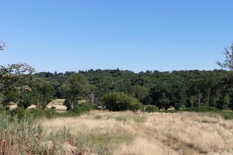 Villa i Naillat, Creuse, Naillat - € 198.000 | Ref: 3011444547 - foto 15