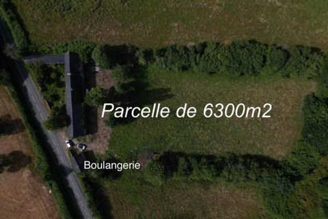 Farm hus i Tamerville, Manche, Tamerville - € 170.000 | Ref: 205979 - foto 18