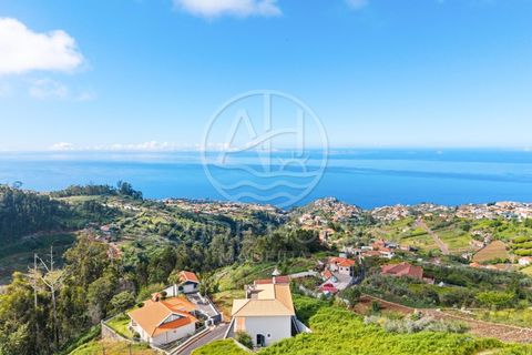Villa - Ponta do Sol, Madeira, Ponta do Sol - € 795 000 | Réf : HAB_23 - photo 39