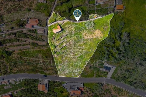 Helårsgrund i Ribeira Brava, Madeira, Ribeira Brava - € 350.000 | Ref: SÒL_22 - foto 3