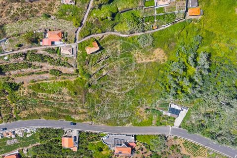 Helårsgrund i Ribeira Brava, Madeira, Ribeira Brava - € 350.000 | Ref: SÒL_22 - foto 4