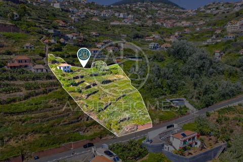 Helårsgrund i Ribeira Brava, Madeira, Ribeira Brava - € 350.000 | Ref: SÒL_22 - foto 6