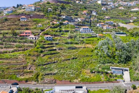 Helårsgrund i Ribeira Brava, Madeira, Ribeira Brava - € 350.000 | Ref: SÒL_22 - foto 7