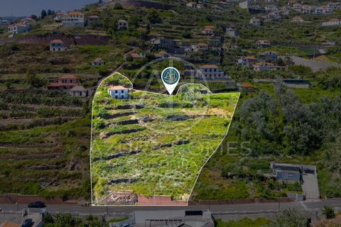 Helårsgrund i Ribeira Brava, Madeira, Ribeira Brava - € 350.000 | Ref: SÒL_22 - foto 8