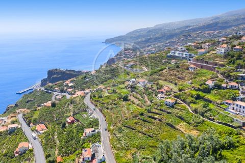Helårsgrund i Ribeira Brava, Madeira, Ribeira Brava - € 350.000 | Ref: SÒL_22 - foto 9