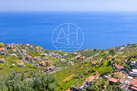 Helårsgrund i Ribeira Brava, Madeira, Ribeira Brava - € 350.000 | Ref: SÒL_22 - foto 11