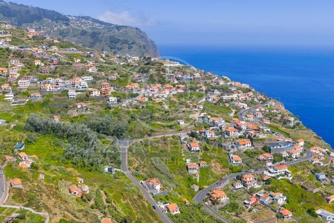 Helårsgrund i Ribeira Brava, Madeira, Ribeira Brava - € 350.000 | Ref: SÒL_22 - foto 12