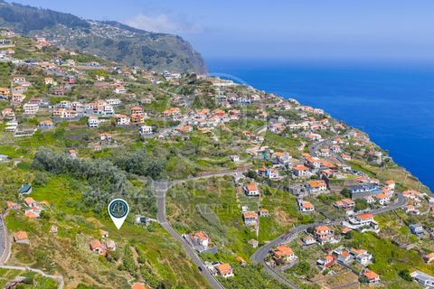 Helårsgrund i Ribeira Brava, Madeira, Ribeira Brava - € 350.000 | Ref: SÒL_22 - foto 13