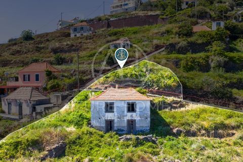 Helårsgrund i Ribeira Brava, Madeira, Ribeira Brava - € 350.000 | Ref: SÒL_22 - foto 15