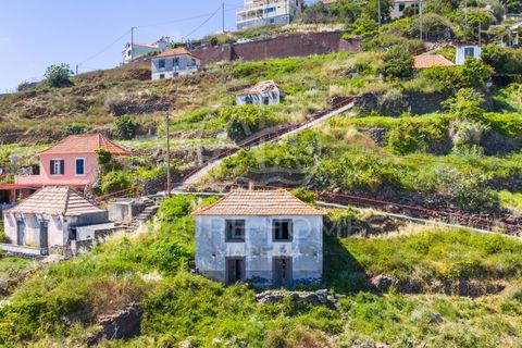 Helårsgrund i Ribeira Brava, Madeira, Ribeira Brava - € 350.000 | Ref: SÒL_22 - foto 16